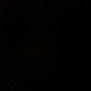 Meet your Posher, Daphne